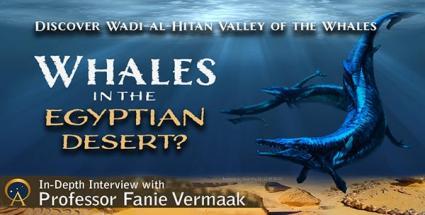 Whales in the Egyptian Desert? Discover Wadi-al-Hitan - Valley of the Whales