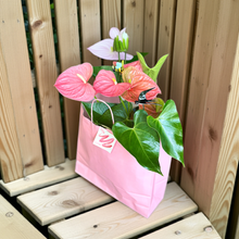 Load image into Gallery viewer, Whimsical Garden Buddies
