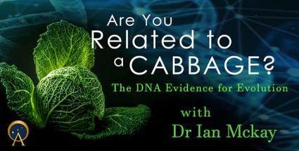Are You Related to a Cabbage? The DNA Evidence for Evolution